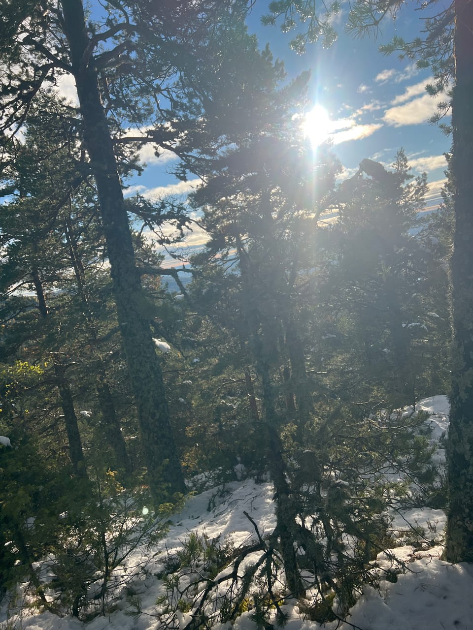 Hvalsknatten — foto