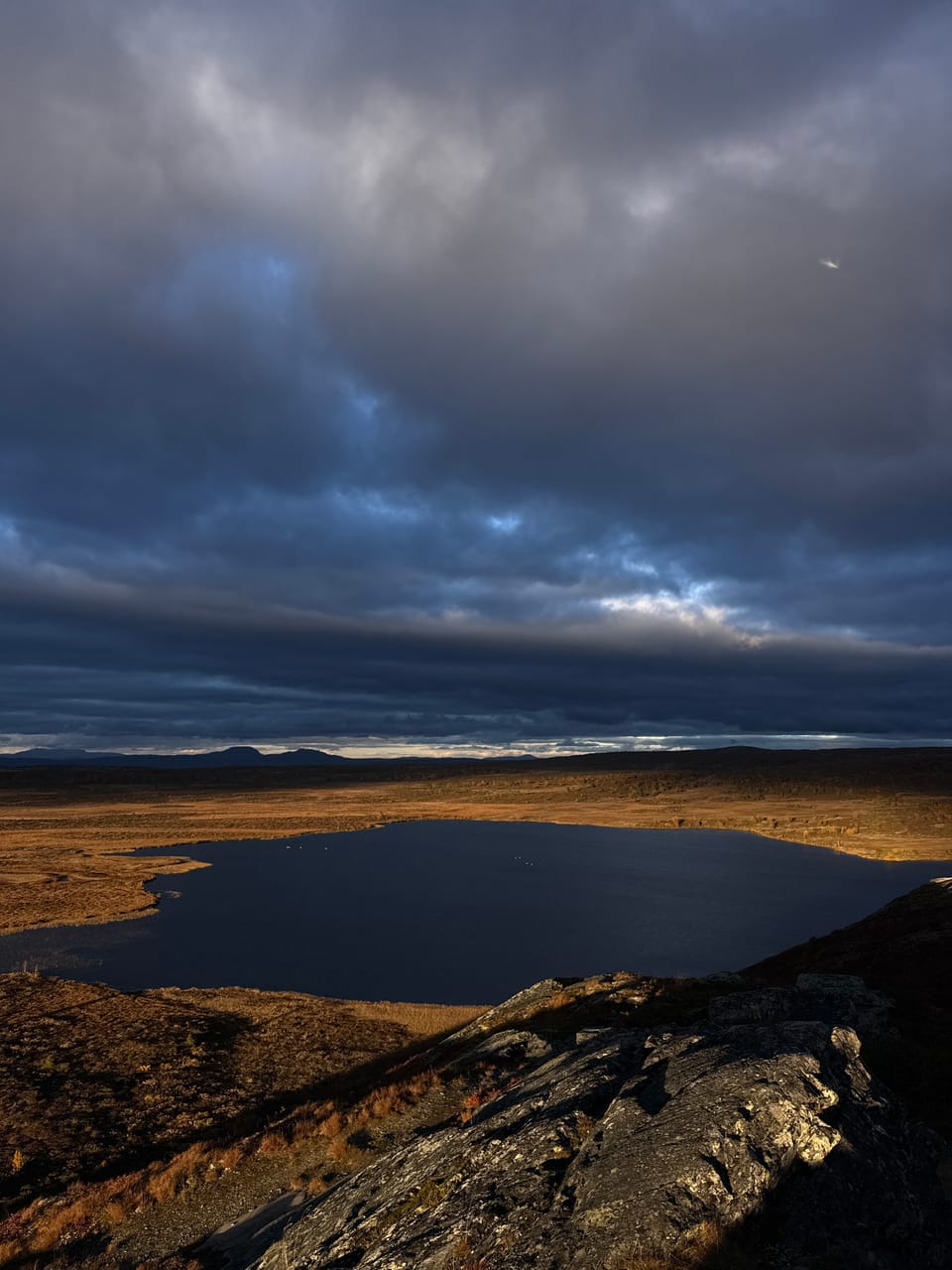 Valtjernknatten — foto