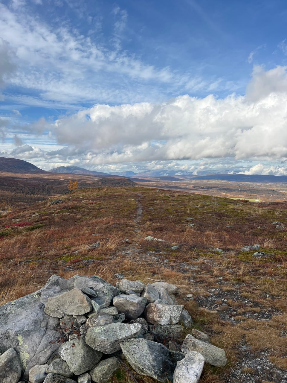Skurvehovda — foto