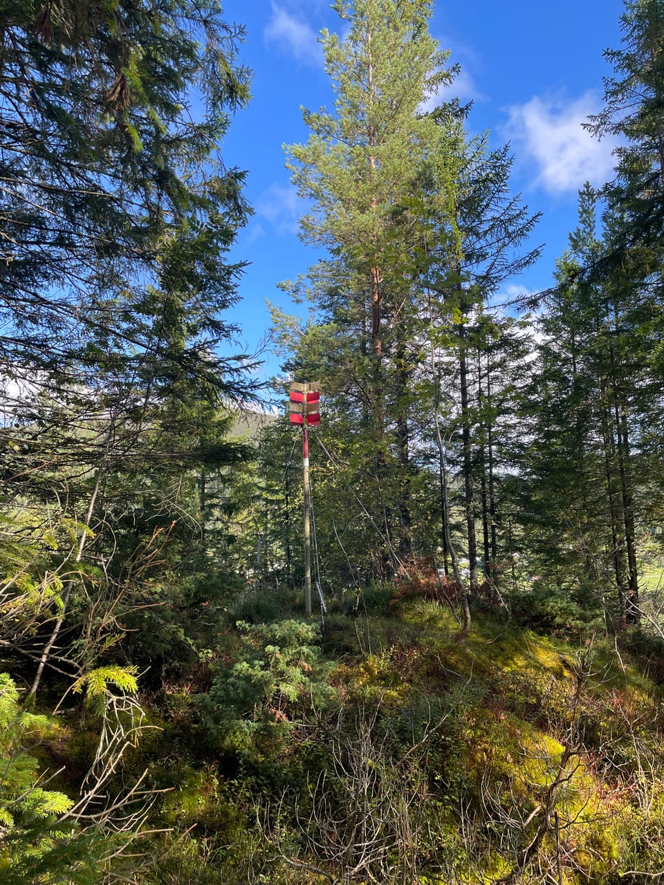 Haukåshaugen — foto