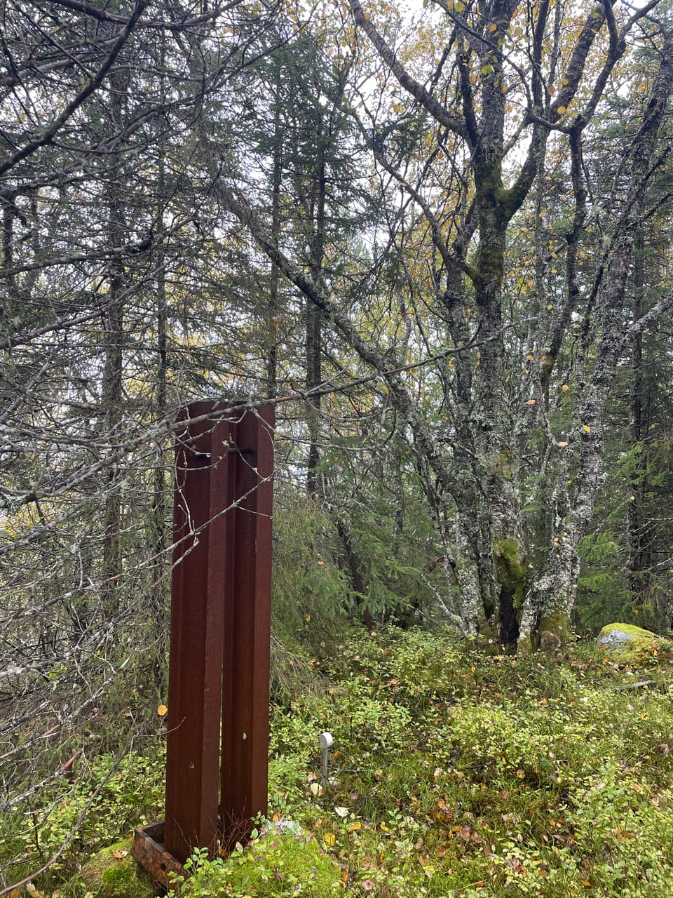 Svartvasshaugen — foto