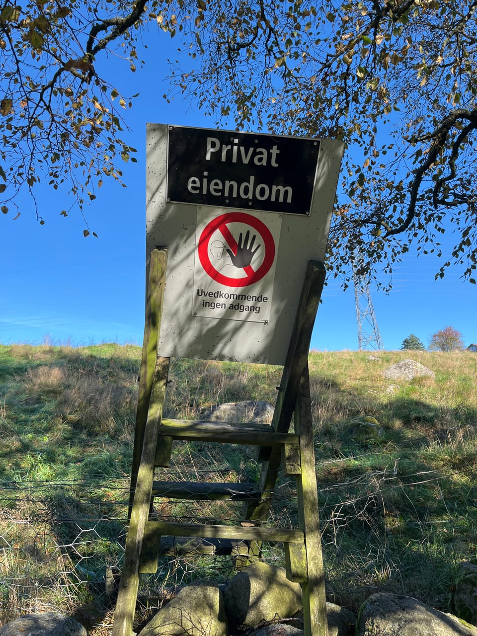 Bærheimsnuten — foto